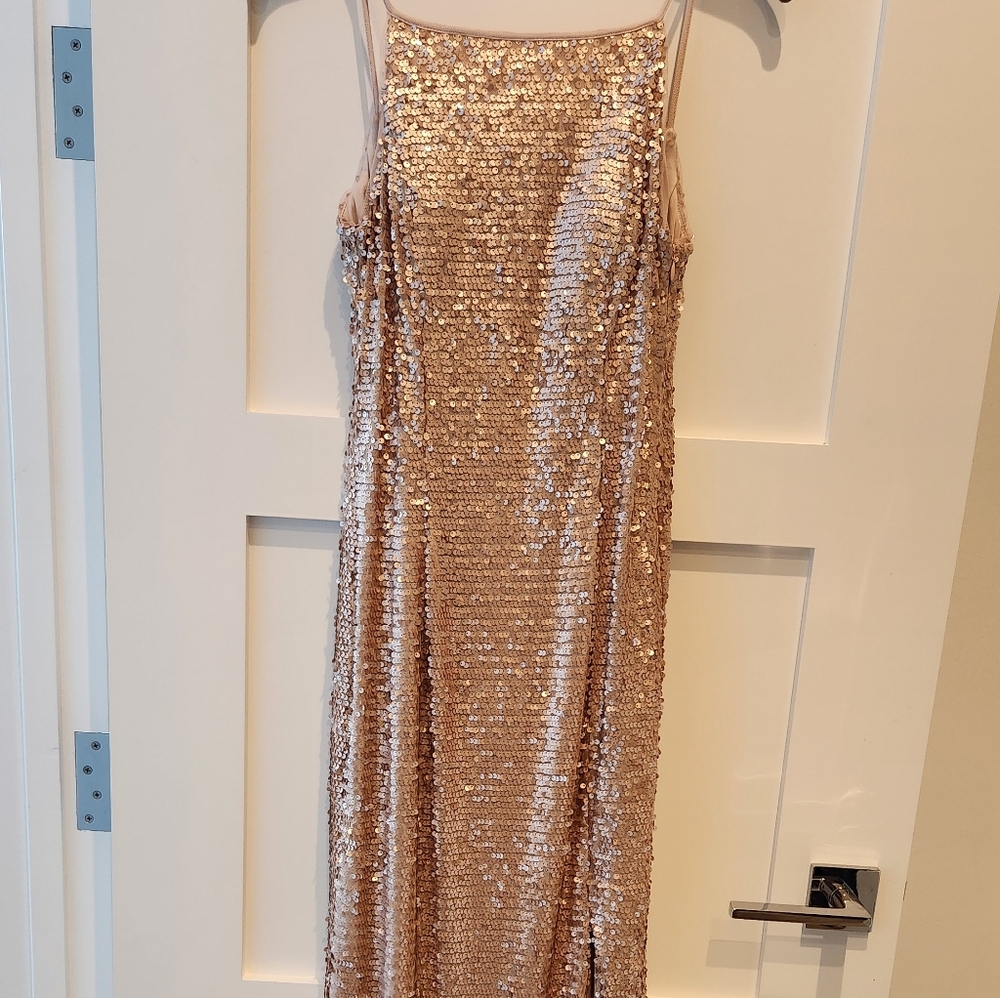 Adrianna Papell Rose Gold Sequin Floor Length Dress